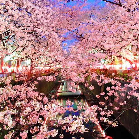 Coto Tokyo Shibuya Apartman Kültér fotó