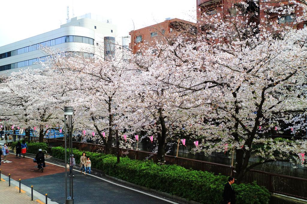 Coto Tokyo Shibuya Apartman Kültér fotó
